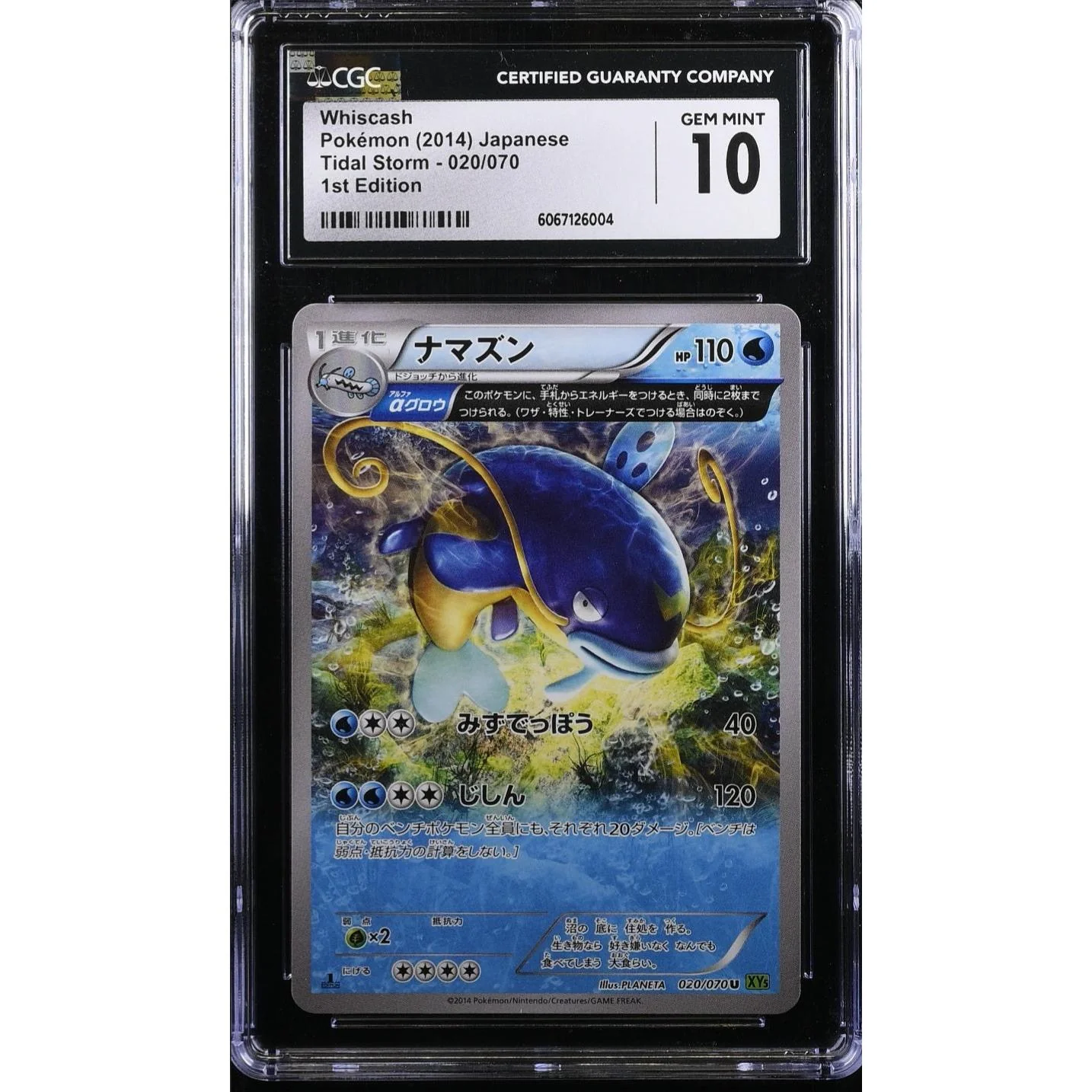 Whiscash (XY5t 020) Tidal Storm